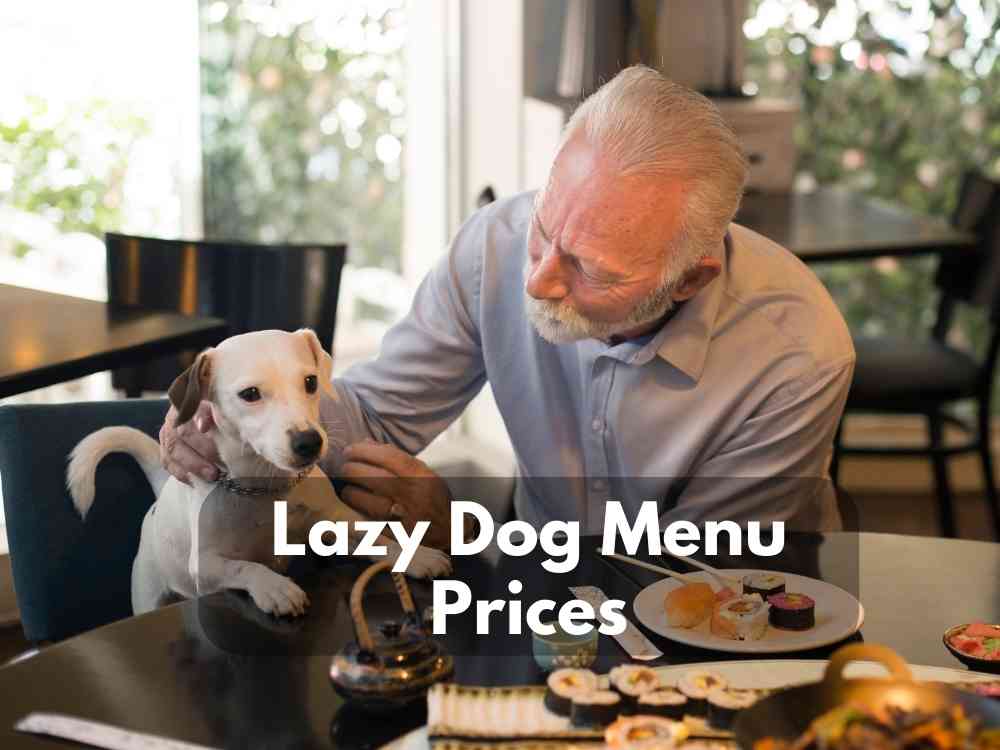 Lazy Dog Menu Prices 2023 Late Night Meals Drinks Modern Art Catering   Lazy Dog Menu Prices 